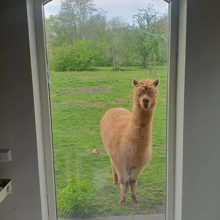 De Wagenloods 別荘