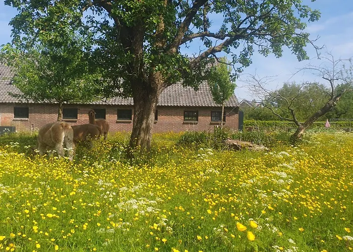 De Wagenloods Alphen aan den Rijn