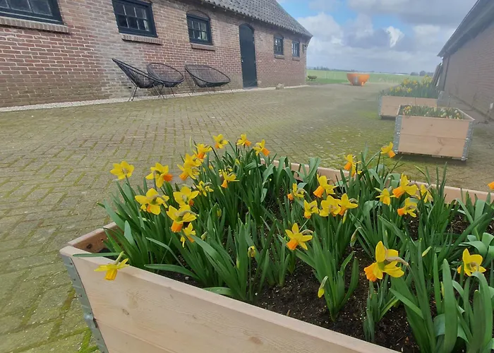 De Wagenloods * Alphen aan den Rijn
