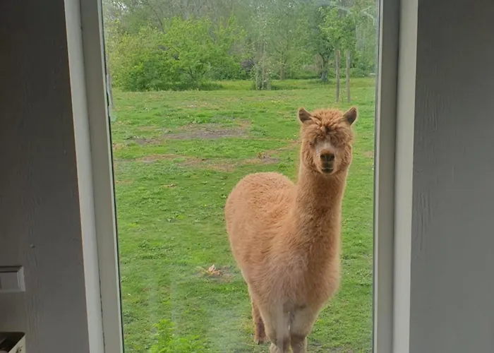 De Wagenloods Сasa de vacaciones