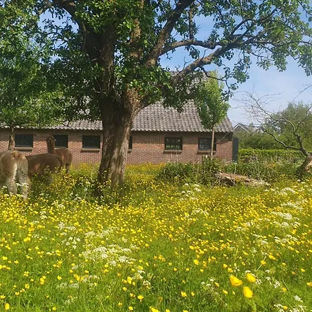 De Wagenloods Alphen aan den Rijn