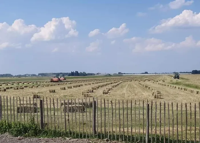 De Wagenloods Alphen aan den Rijn